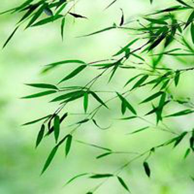 外科手术式打击手机游戏下载
